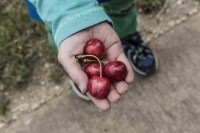 Speisen wie Gott in Frankreich
